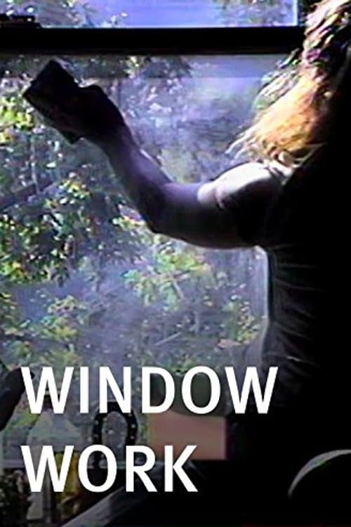 Poster Window Work