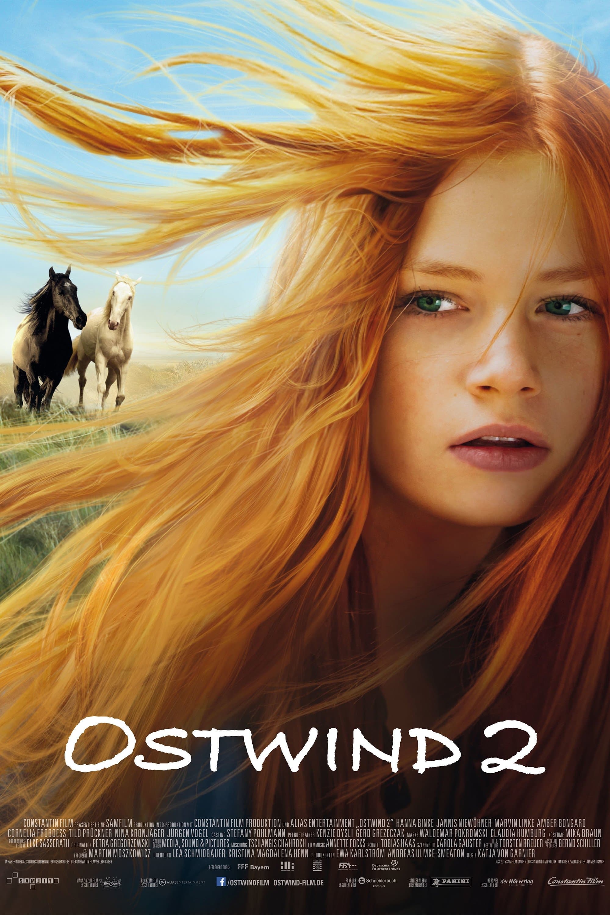 Poster Windstorm 2