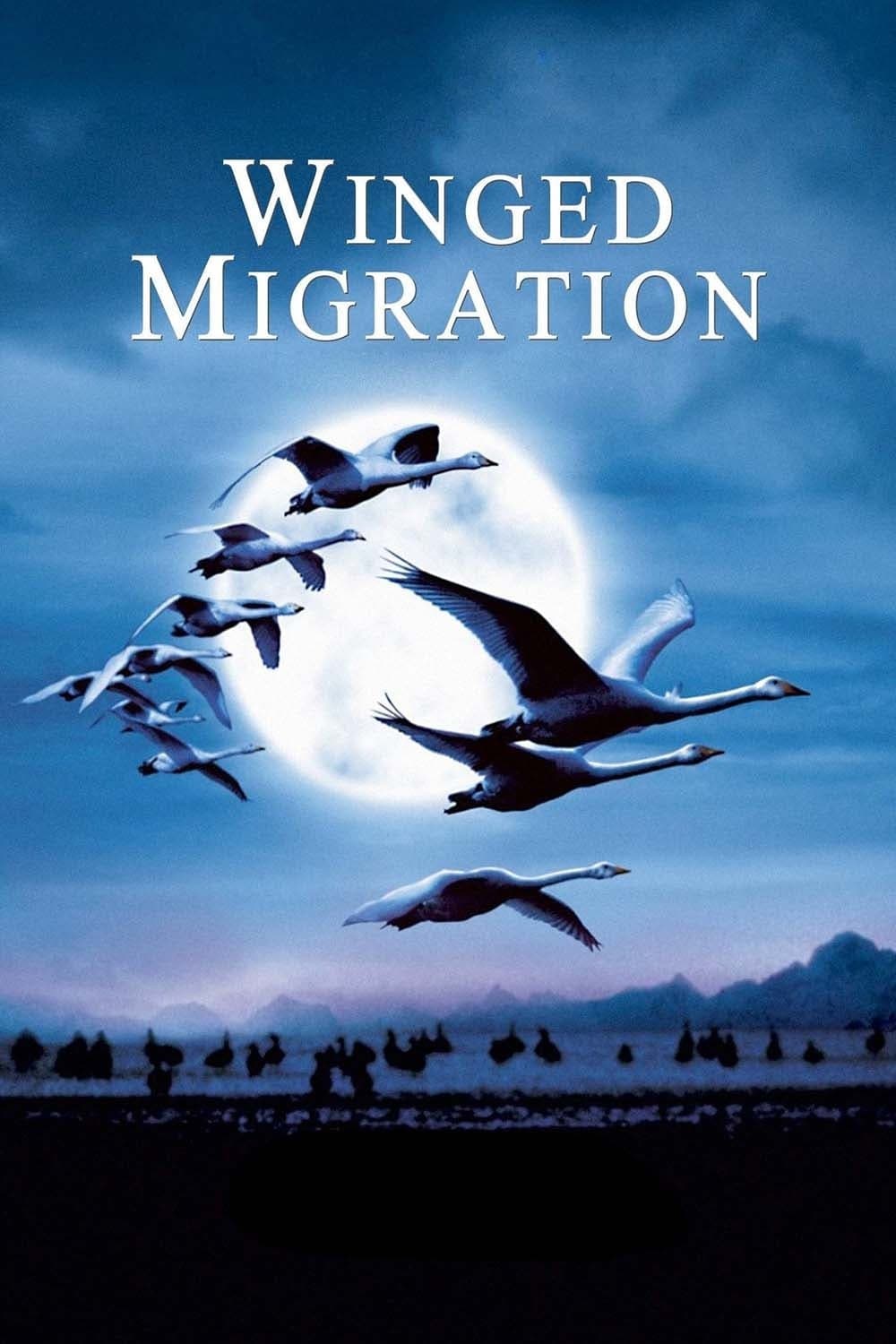 Poster Winged Migration