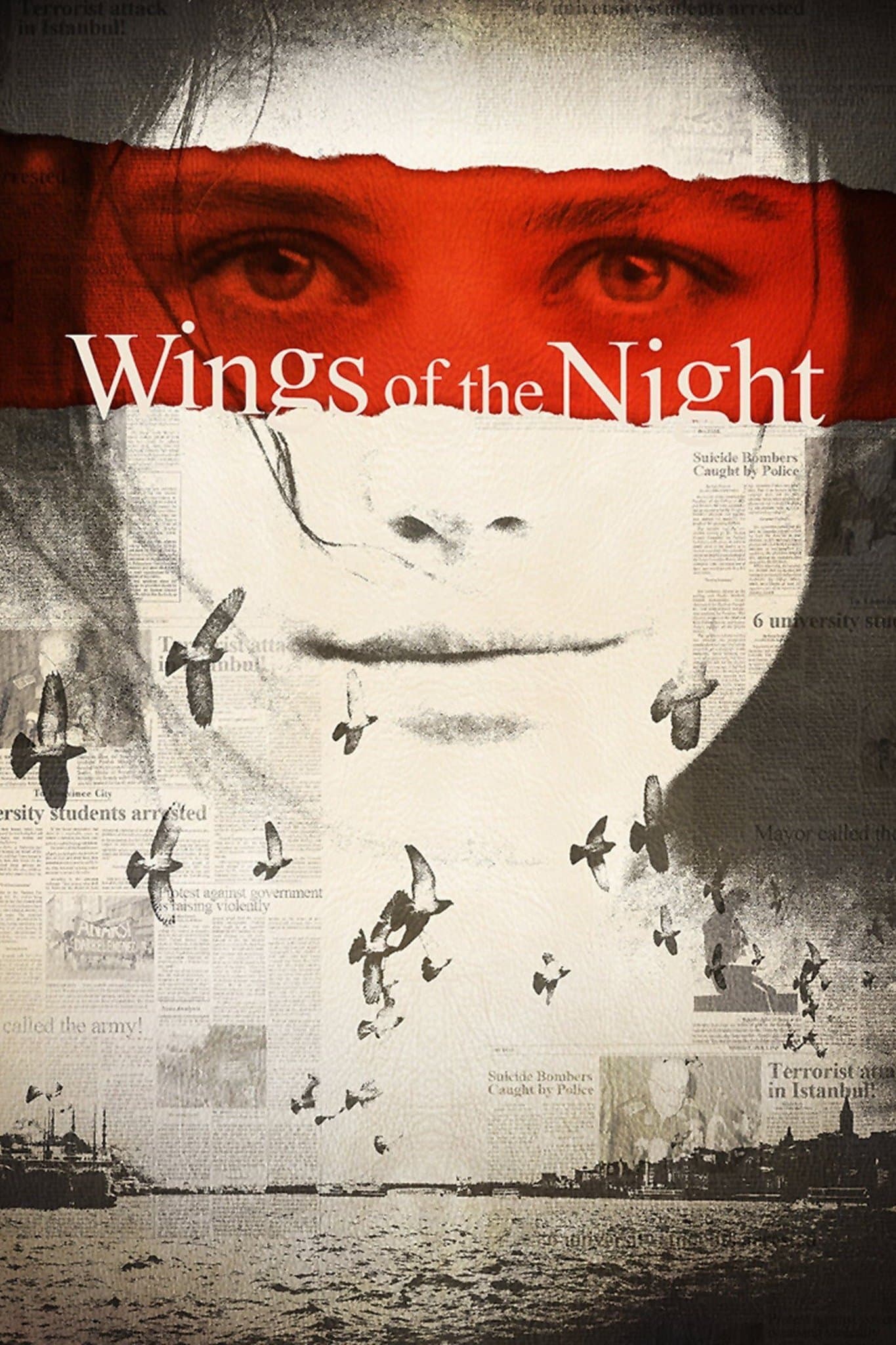 Poster Wings of the Night