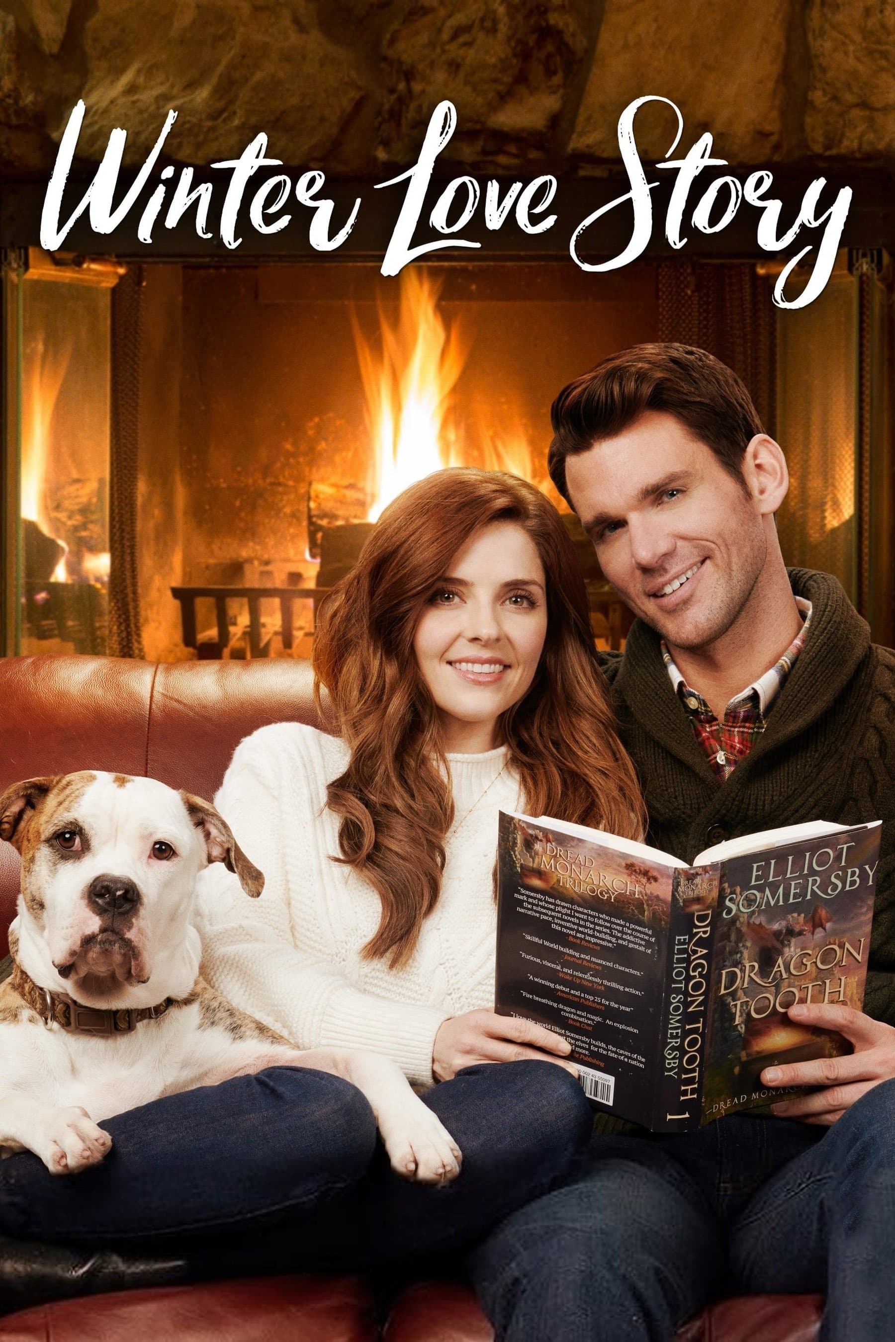Poster Winter Love Story