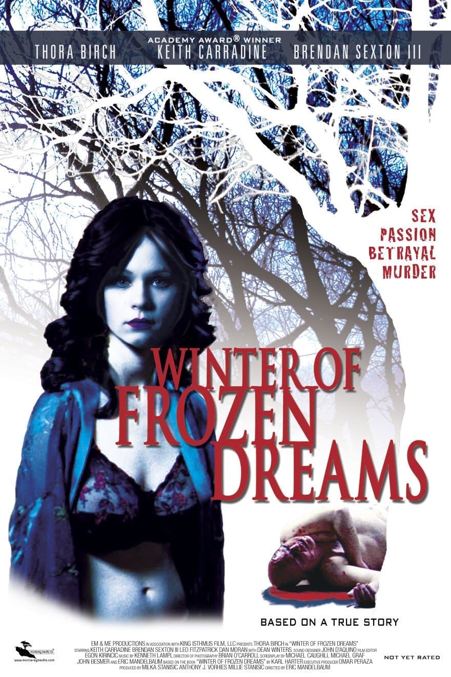 Poster Winter of Frozen Dreams