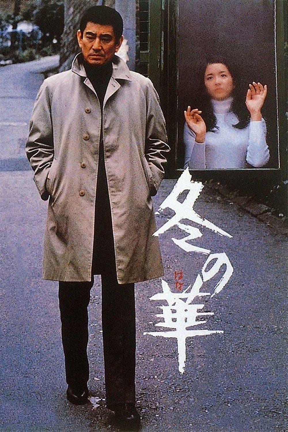 Poster Winter's Flower