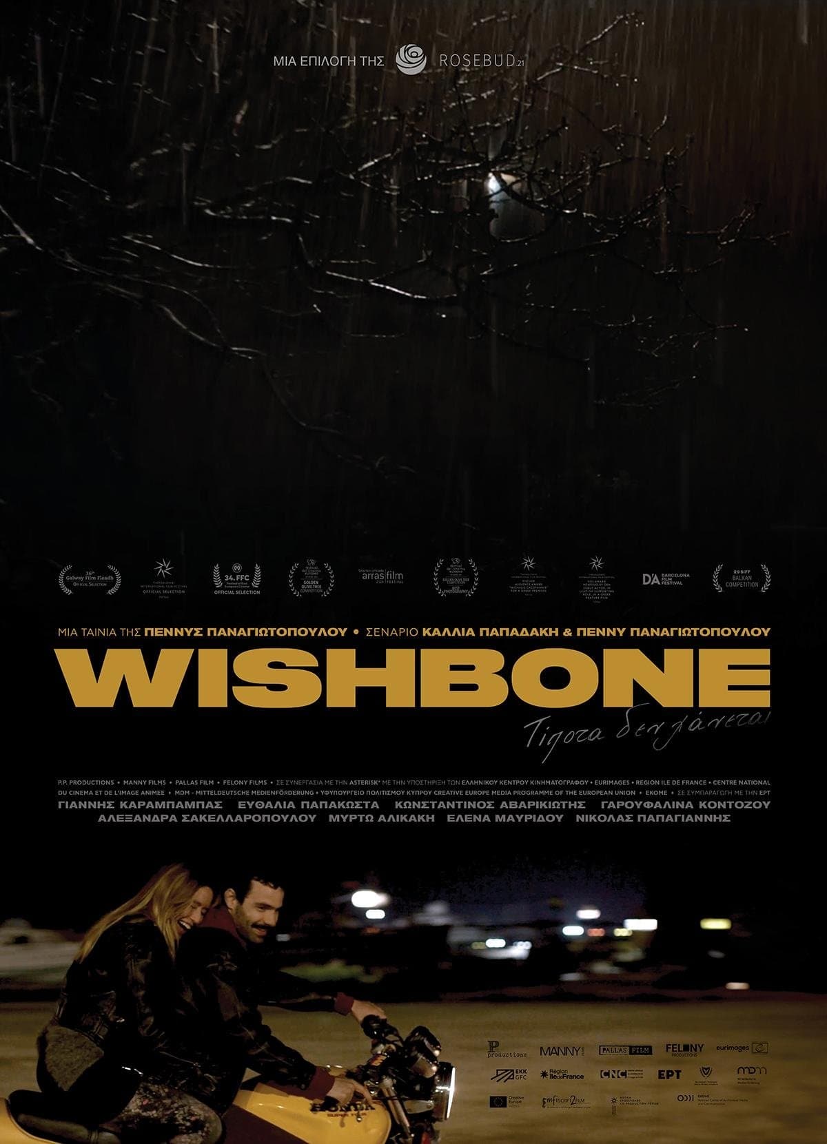 Poster Wishbone