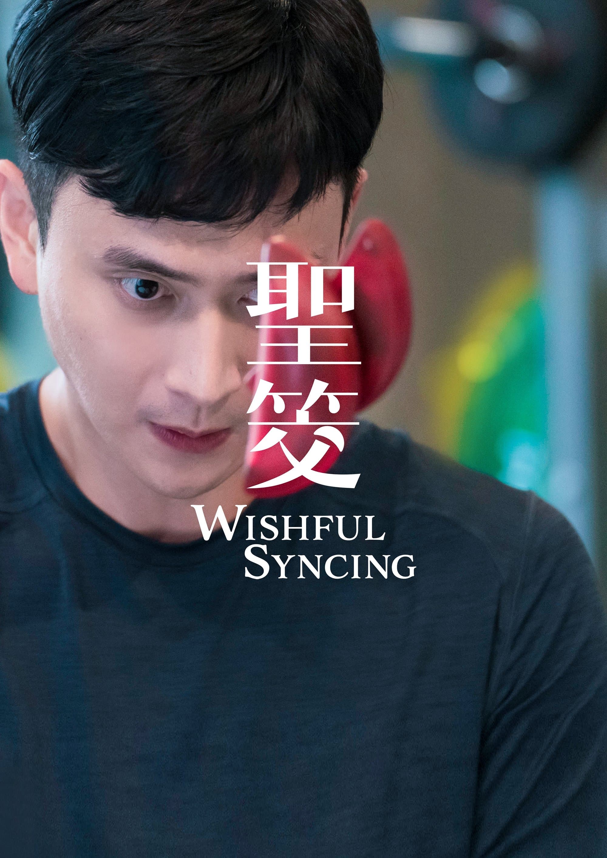 Poster Wishful Syncing