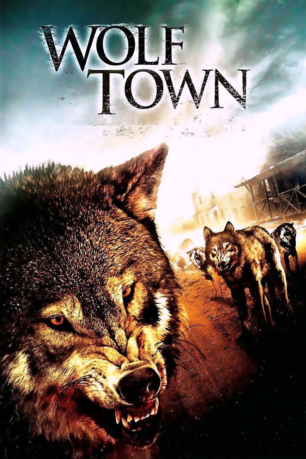 Poster Wolf Town
