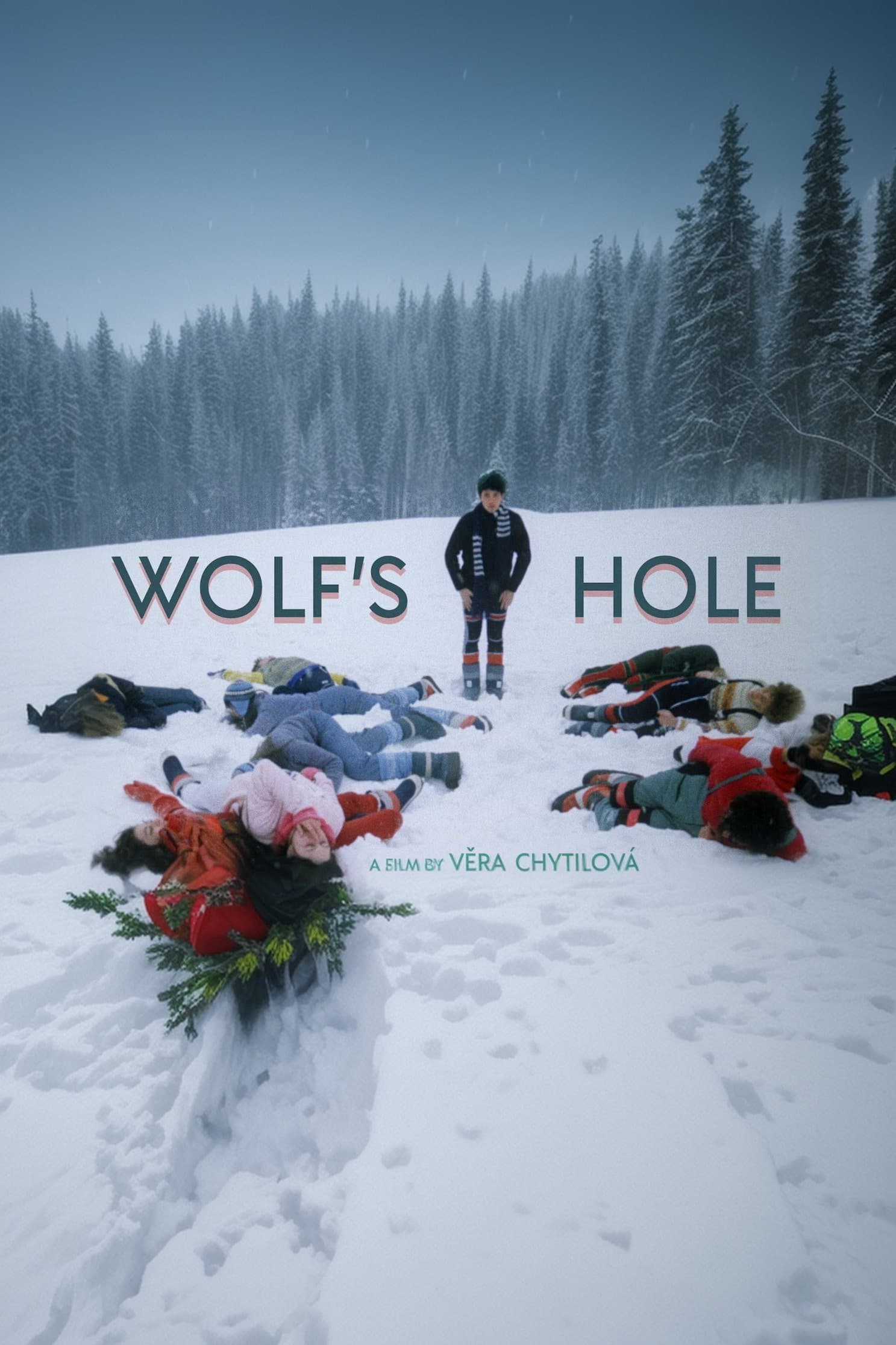 Poster Wolf's Hole