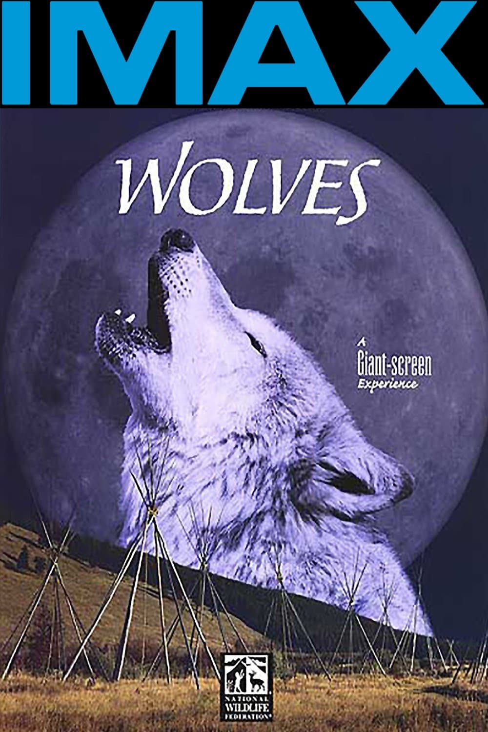 Poster Wolves