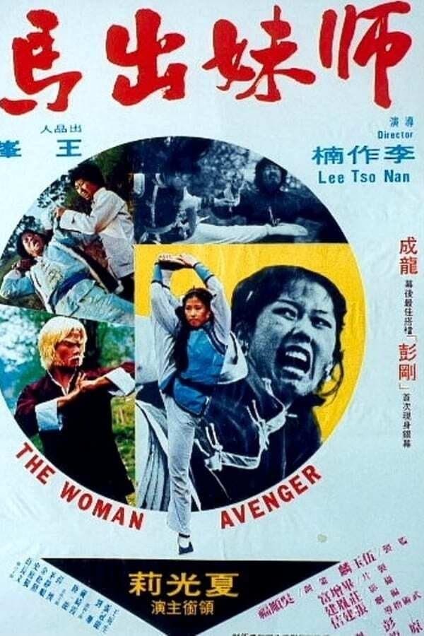 Poster Woman Avenger