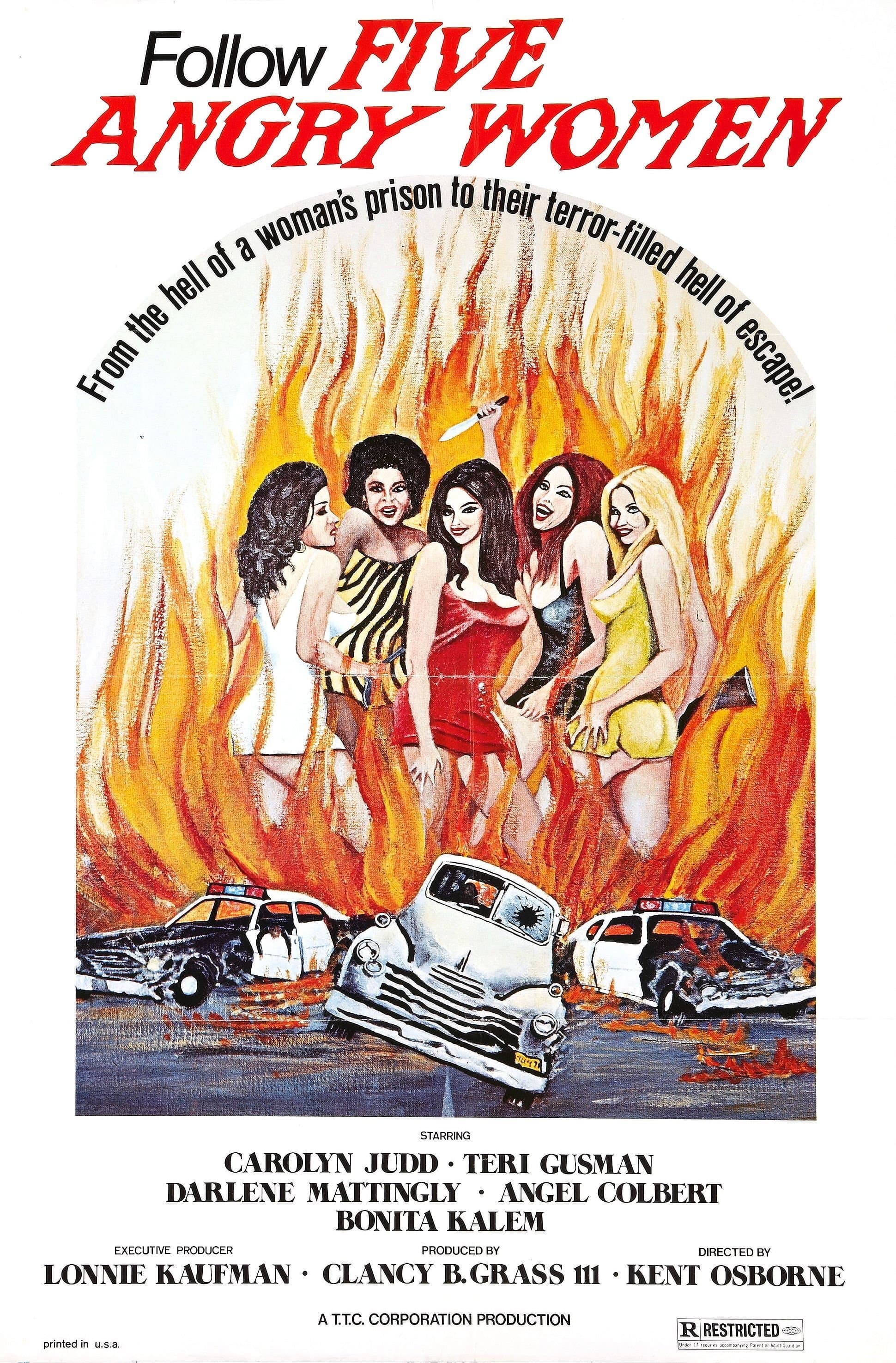 Poster Women Unchained
