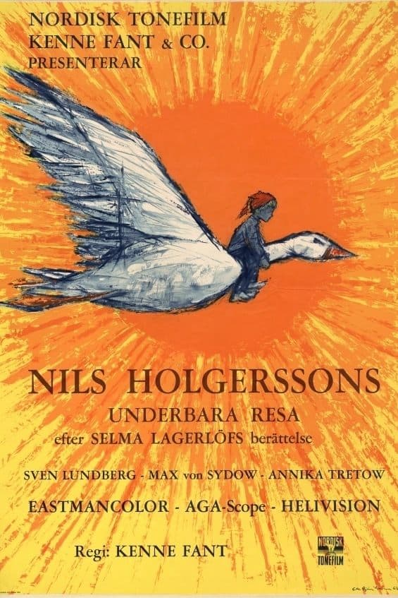 Poster Wonderful Adventures of Nils