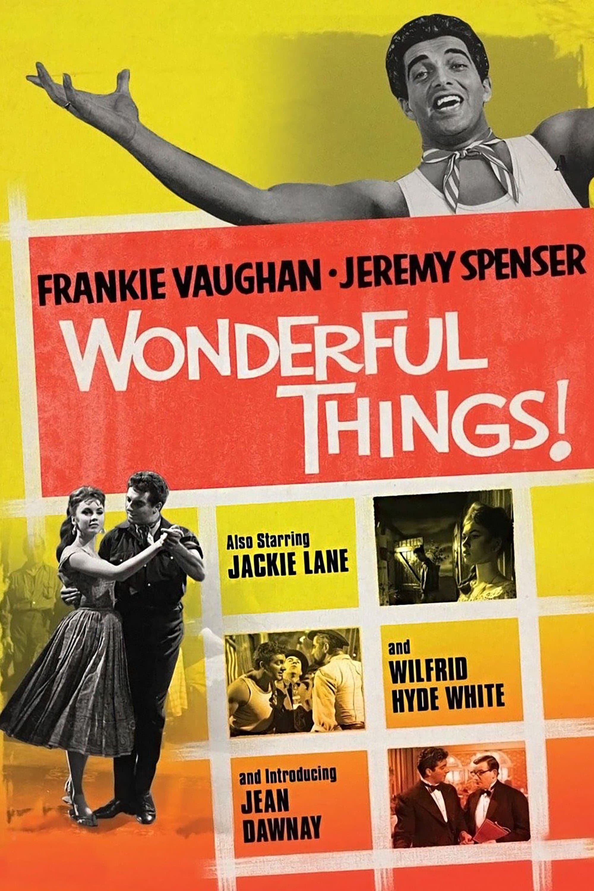 Poster Wonderful Things