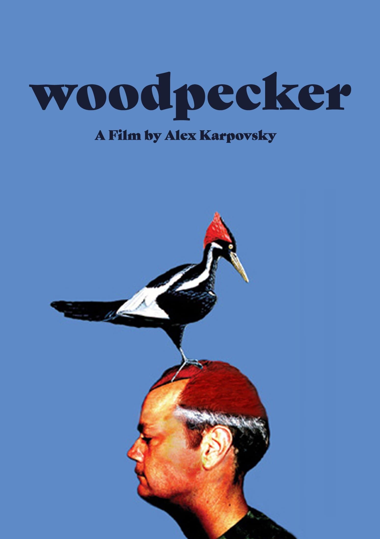 Poster Woodpecker
