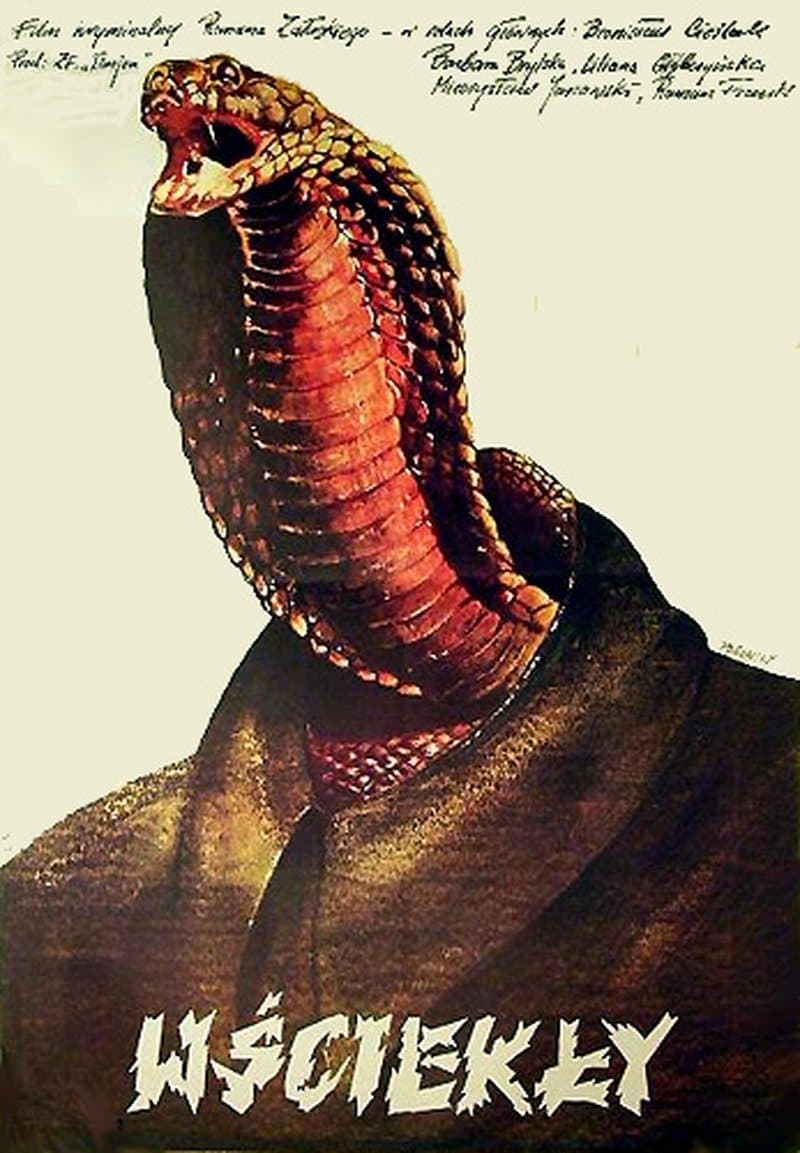 Poster Wściekły