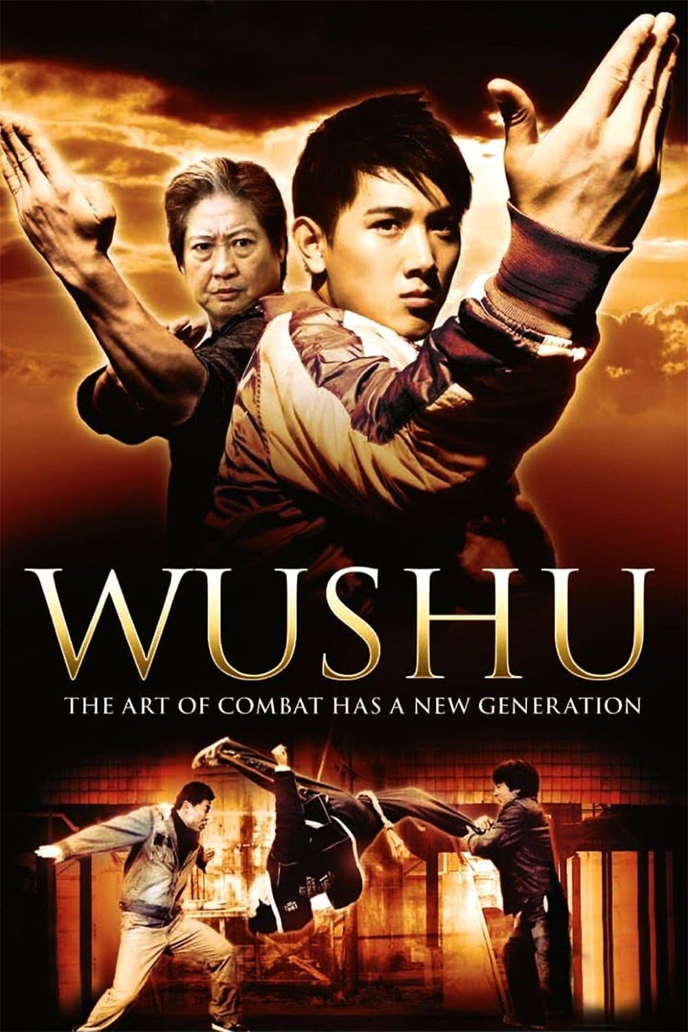 Poster Wushu