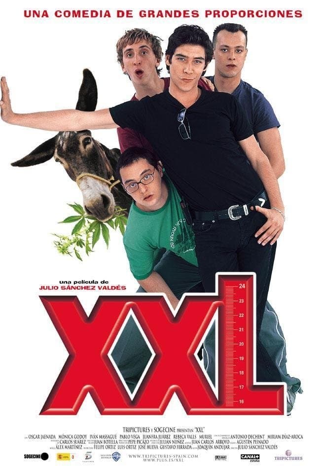 Poster XXL