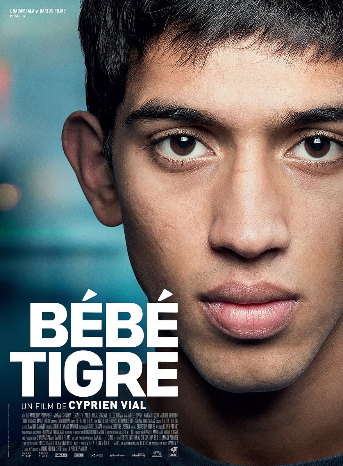 Poster Young Tiger
