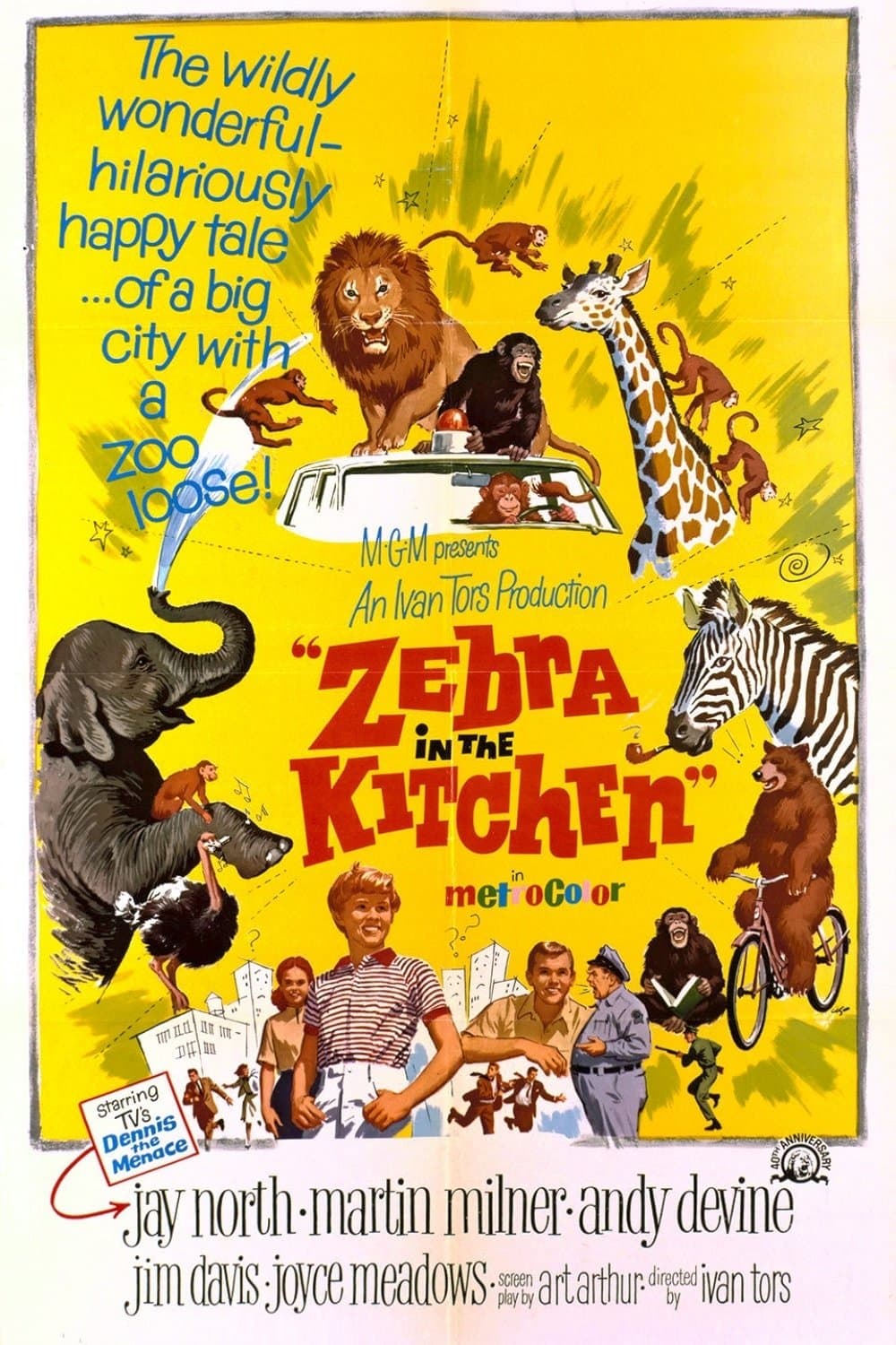 Poster Zebra in the Kitchen