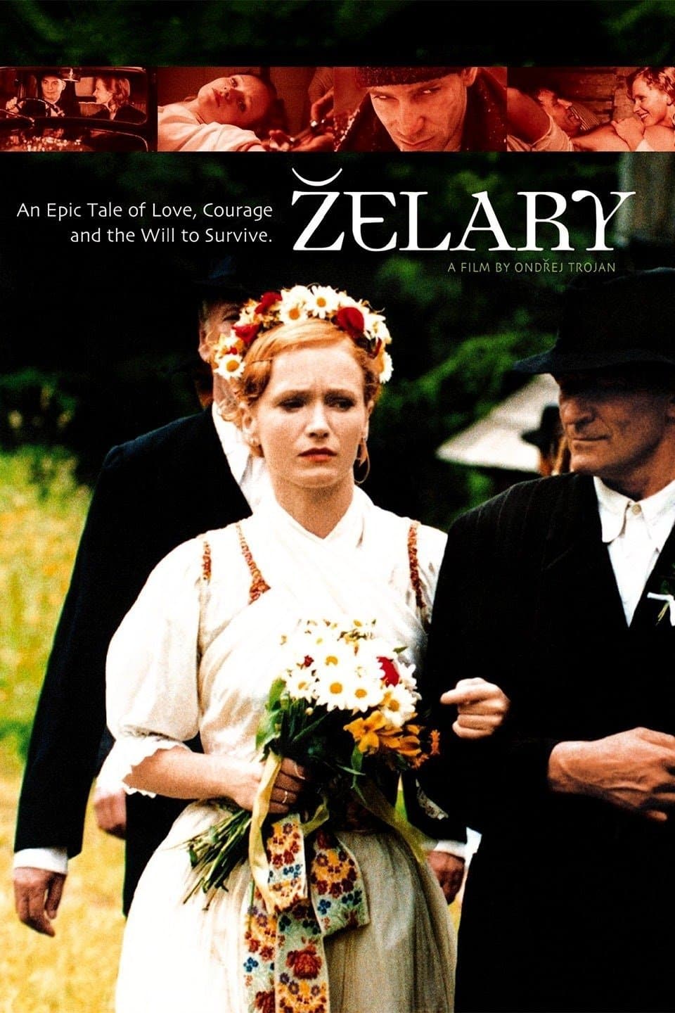 Poster Zelary