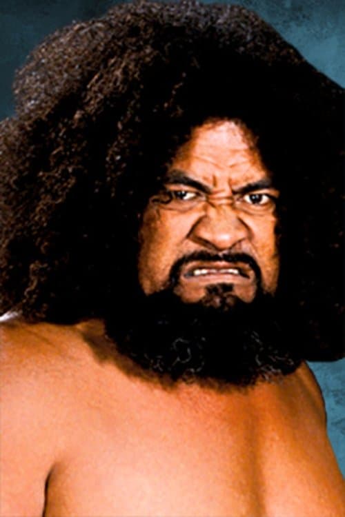 Afa Anoa'i image