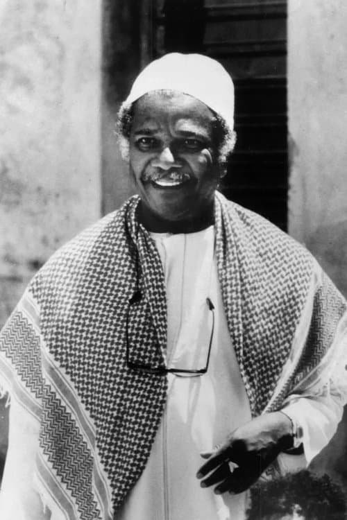 Ali Mazrui image