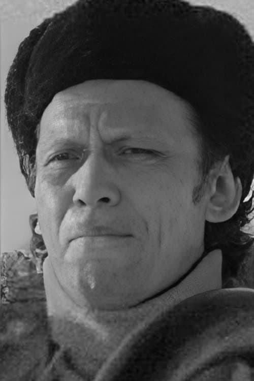 Anatoli Dubinkin image