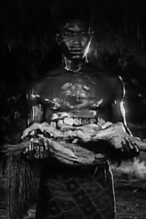 Curtis Nero image