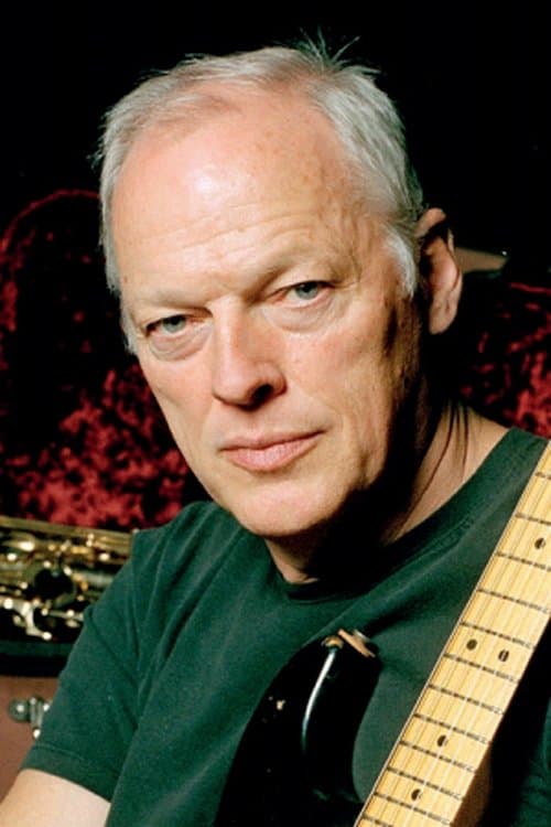 David Gilmour image