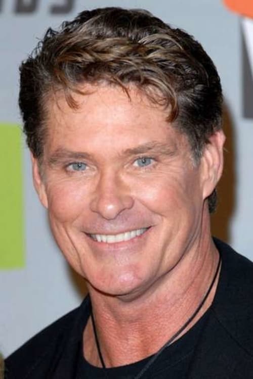 David Hasselhoff image