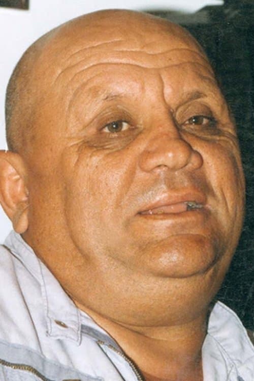 Ferdinand Radi image