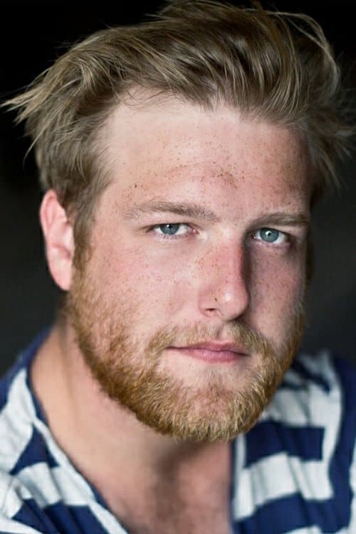 Götz Vogel von Vogelstein image