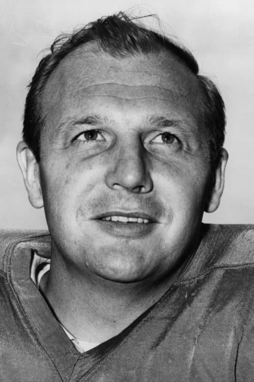 Joe Schmidt image