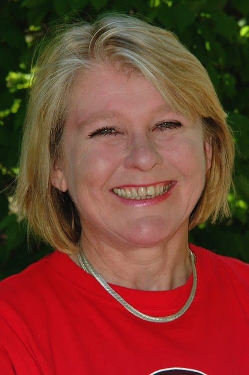 Karin Bergström image