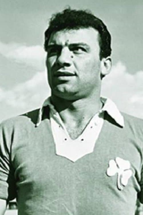 Kostas Linoxilakis image
