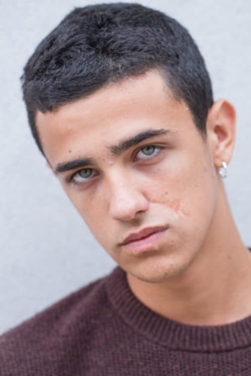 Luigi Catani image
