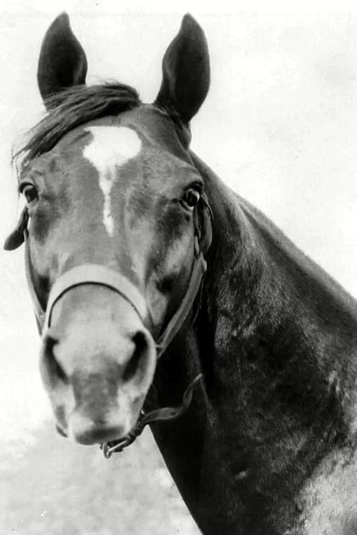 Man o' War image