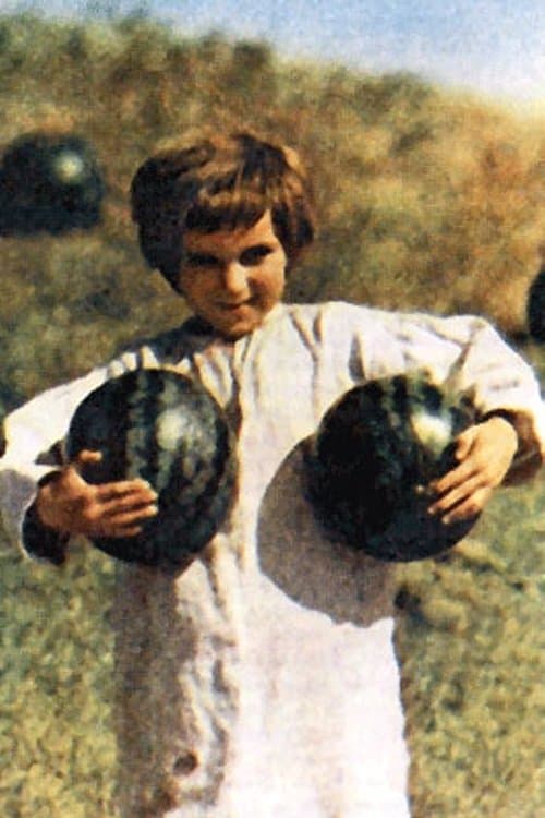 Oleksandr Sergienko image