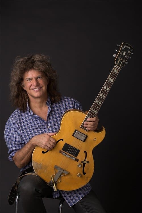 Pat Metheny image