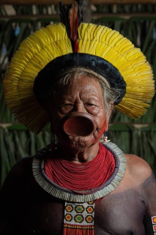 Raoni Metuktire image
