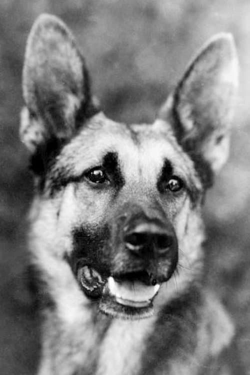 Strongheart image