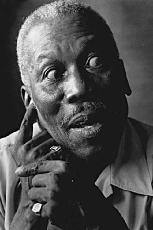 Tiger Haynes image