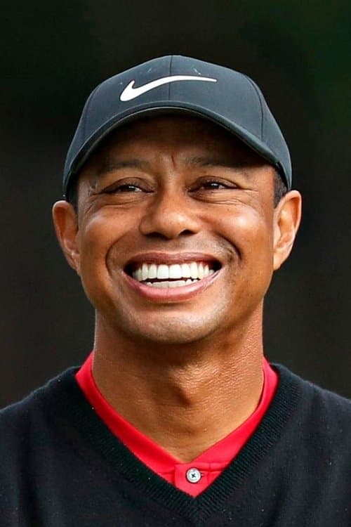 Tiger Woods image