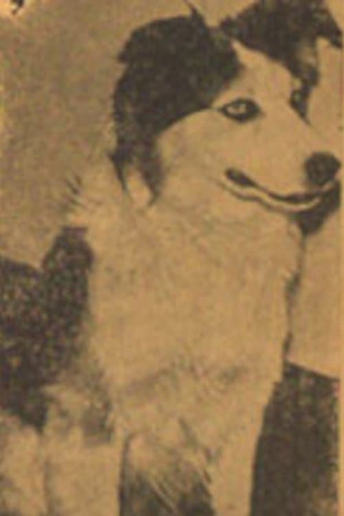 Tuffy image