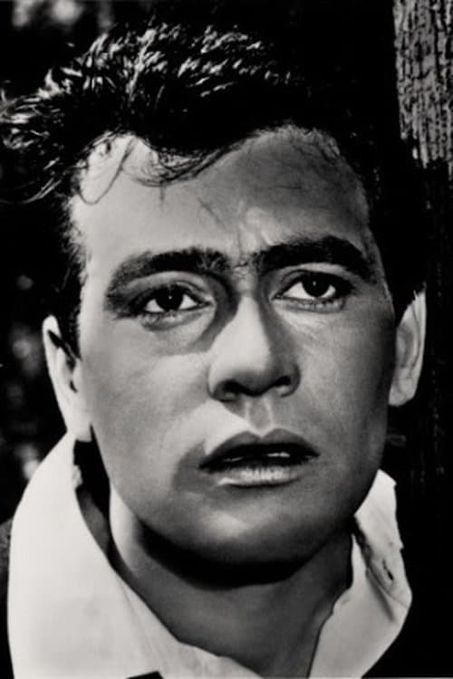 Vasile Ichim image