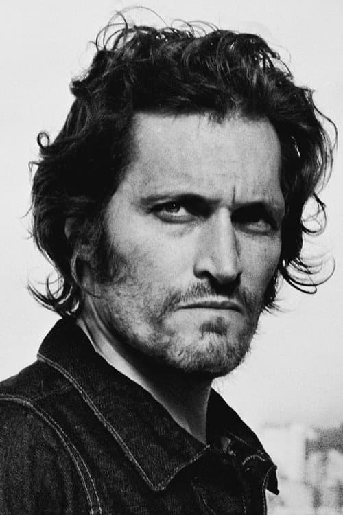 Vincent Gallo image