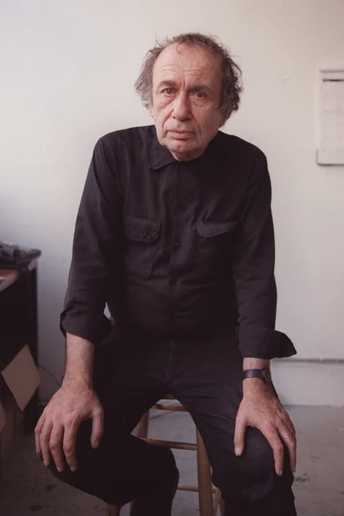 Vito Acconci image