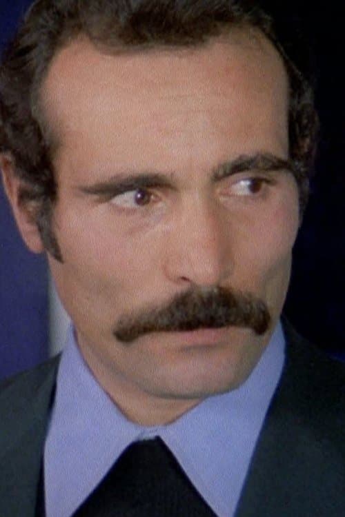 Vittorio Pinelli image