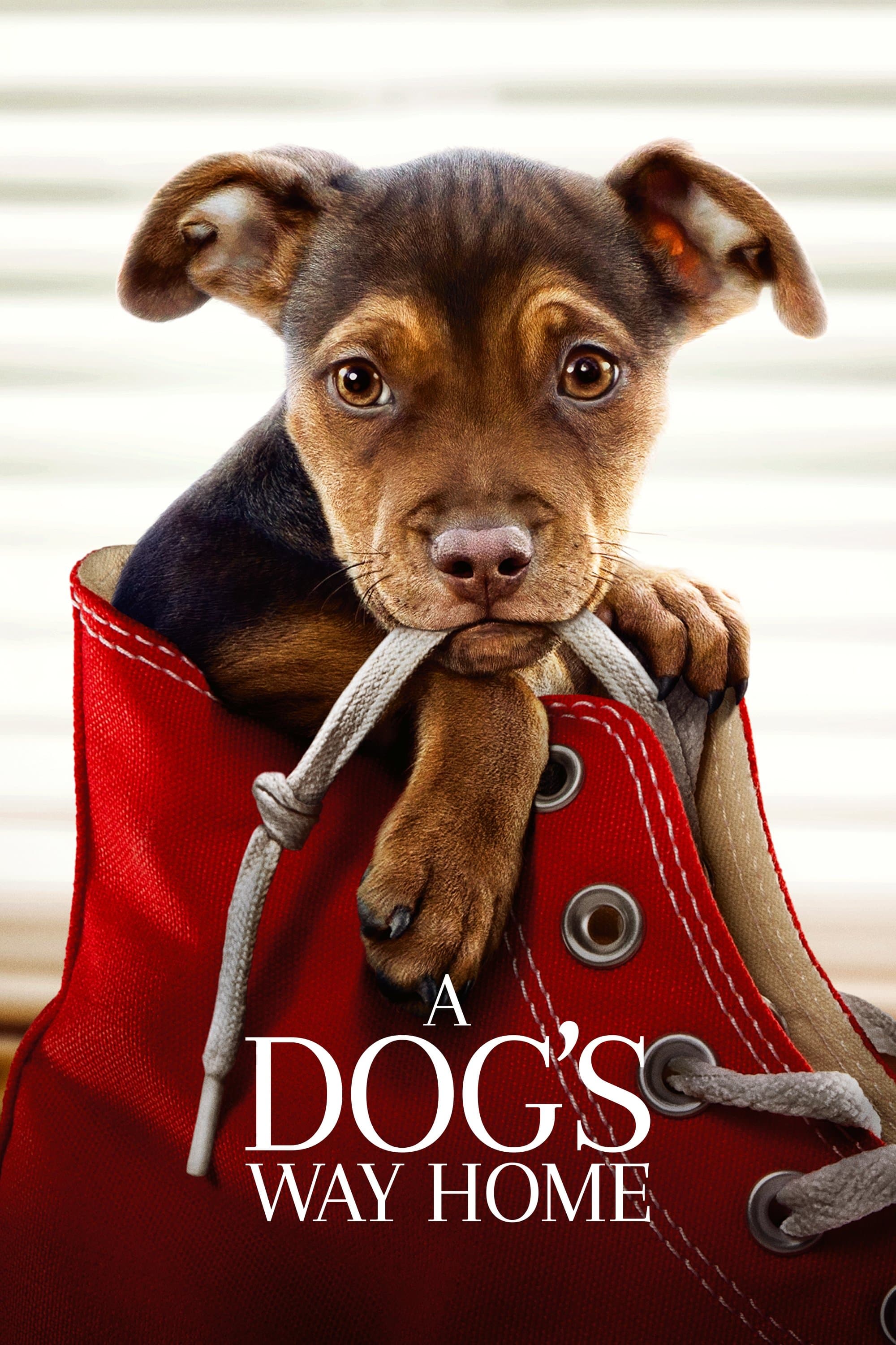 Poster A Dog's Way Home