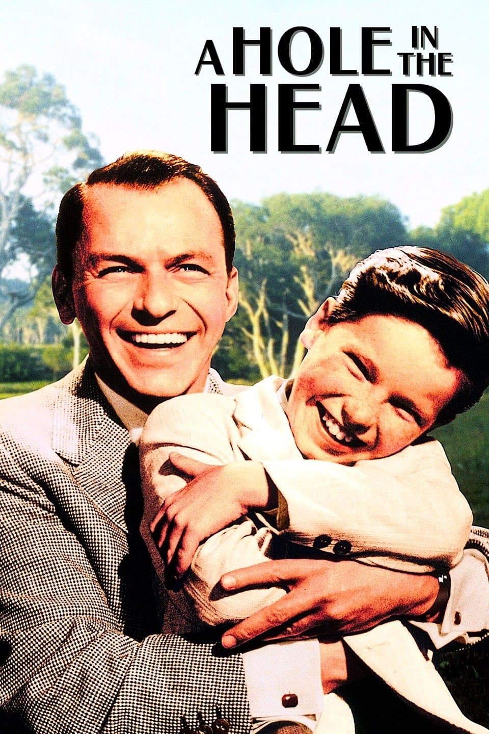 Poster A Hole in the Head