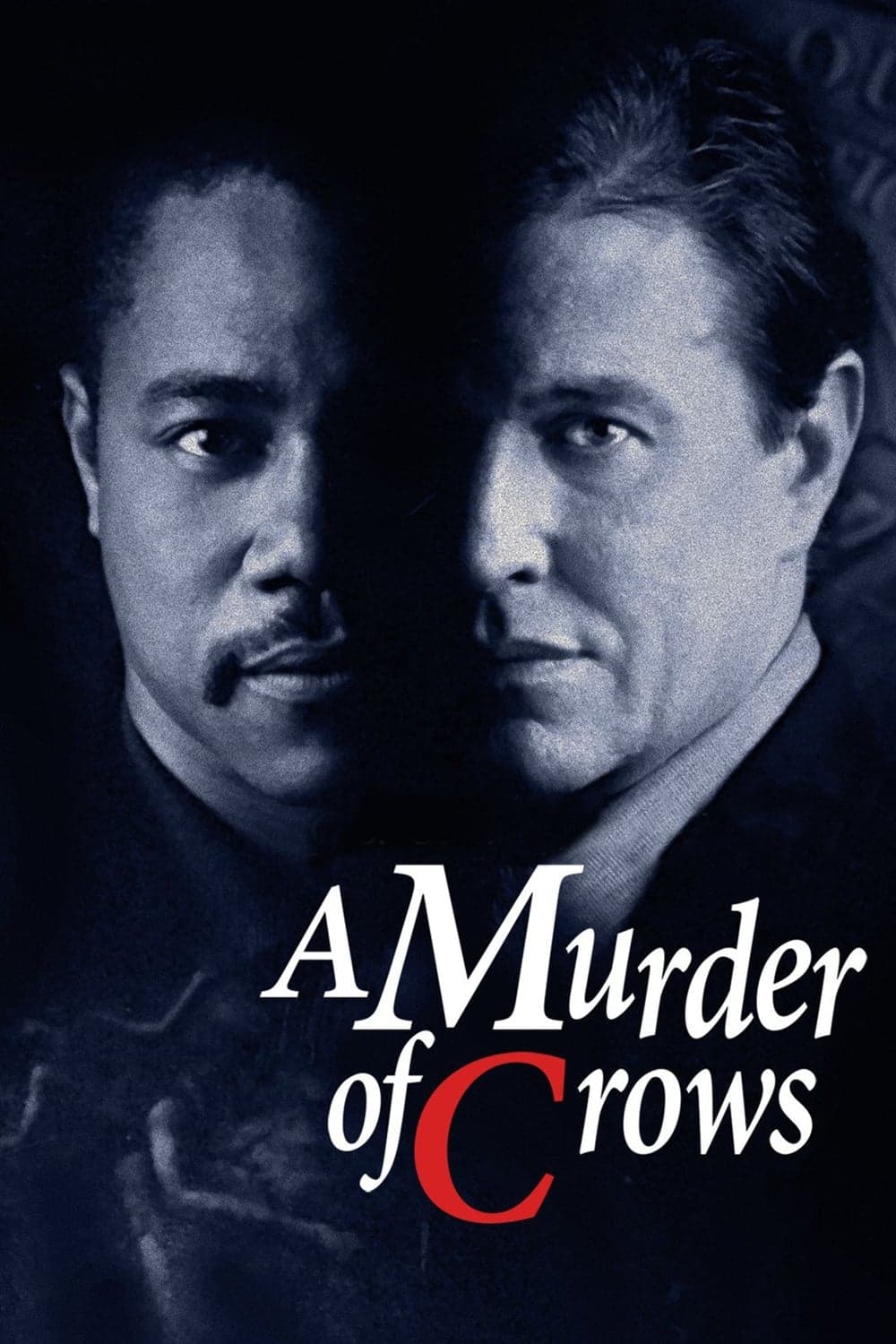 Poster A Murder of Crows